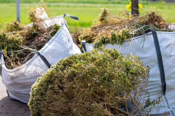 Attic Cleanout Services in Lackland Af, TX